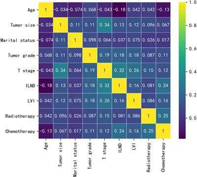 A machine learning-based model for predicting the risk of early-stage inguinal lymph node metastases in patients with squamous cell carcinoma of the penis